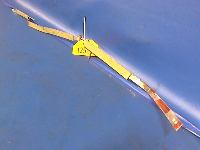 0426512 Cessna - Strap - Fuel Tank (Inboard/Outboard) 2 straps