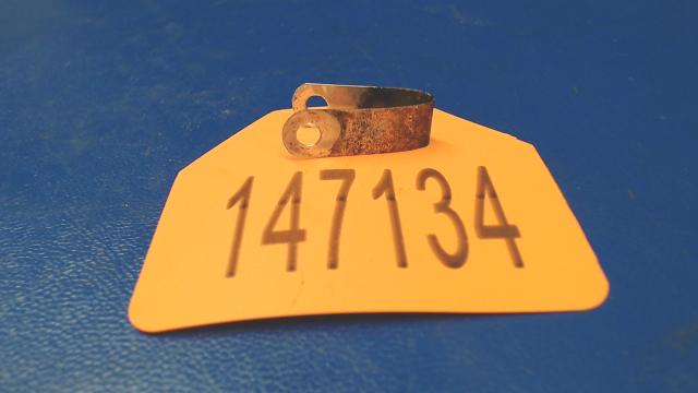0413247 Cessna - STRAP - GROUND
